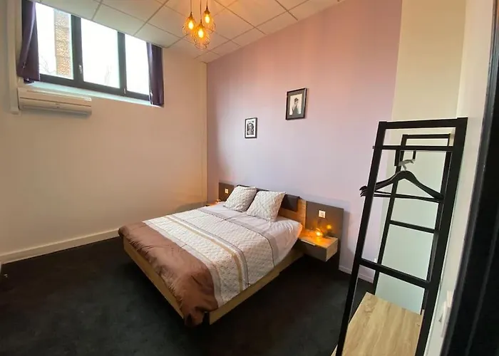 Magnifique Loft 4 Chambres Avec Parking Interieur